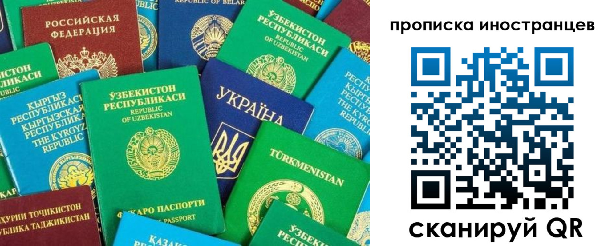 прописка гарантия в Орехово-Зуево